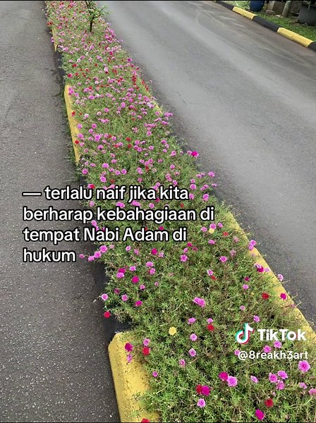 Nabi Adam: Mencari Kebahagiaan di Tempat Hukum