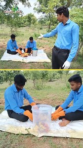 11K views · 215 reactions | Eco enzyme,#deerghaayush,#naturalfarming,#organicfarming | Deerghaayush | Facebook