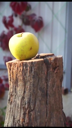 Restoring a Rusty Knife: A Transformation Journey