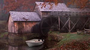Abandoned, Shed, Alone, Decay