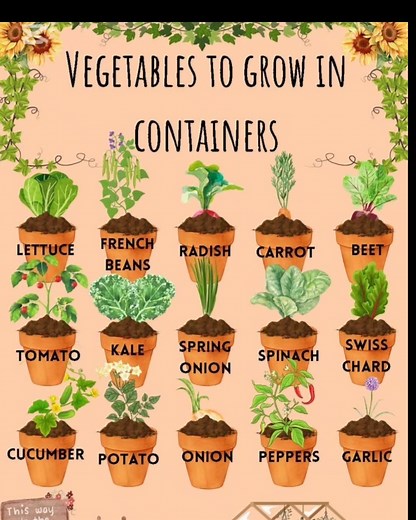 7.9K views · 45 reactions | 凌 Best Vegetables to Grow in Containers...