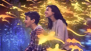 125K views · 51 reactions | Il Centro Commerciale Campania dal 25 al...