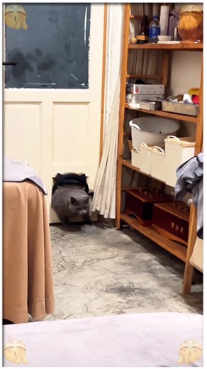 Hilarious Prank Ideas to Try on Friends