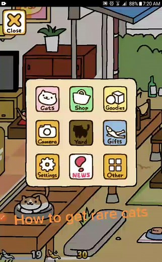 Unlock Rare Cats in Neko Atsume with This Guide