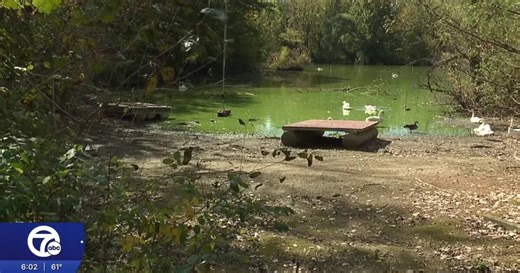 Bird rescue cries foul over Michigan DNR euthanasia plans