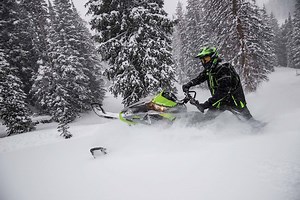 19K views · 503 reactions | They're here. Visit your local dealer NOW...