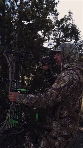 Brian Barney on Instagram: "It’s good to always have a target with you on a hunt and rip a few arrows. Good to know the bows on, have confidence and execute some good shots. Take me back to elk season and being in the grind! There is just nothing like having a dialed bow, tag in the pocket and wild country to go explore! Hopefully the tag gods are good to me this season."