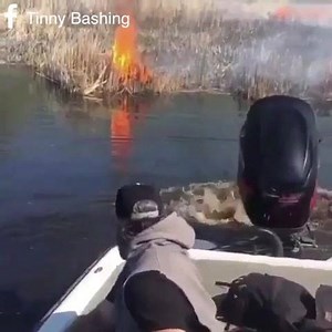 33K views · 385 reactions | Now thats how to put out a fire!  | Tinny Bashing | Facebook