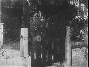 The Little Country Mouse