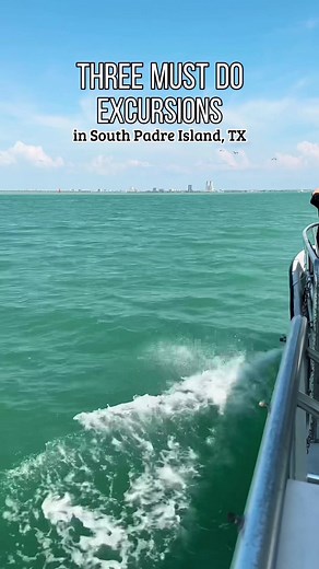 Three must do excursions when you visit South Padre Island, TX! 🏝️🐬🌅🐴 #texastravel
