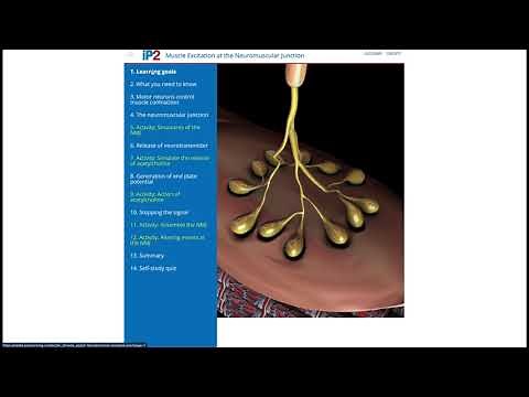 A Tour of Pearson's Interactive Physiology