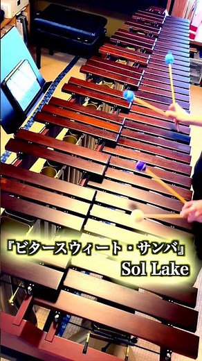 『ビタースウィート・サンバ』 Sol Lake /サントリー「金麦」CM曲/ニッポン放送『オールナイトニッポン』テーマ曲/ マリンバ ソロ 演奏 #shorts #marimba #music