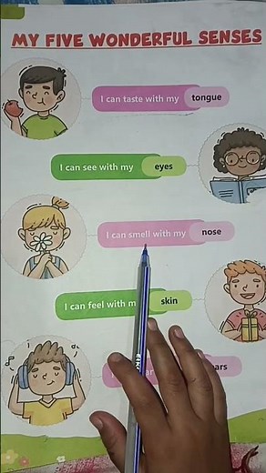 How Your 5 Senses Work (For Kids!)