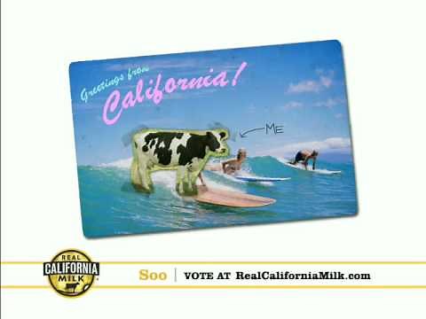 Real California Milk Happy Cow Audition - Soo