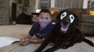 383K views · 2.4K reactions | This pup is teaching kids that being different can mean being beautiful, too. Special thanks to White Eyed Rowdy. | Upworthy | Facebook