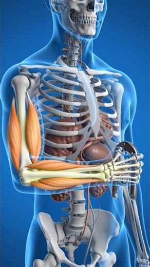 सिर्फ 30 दिन Hand Grip दबाओ… हाथों की ताकत बदल जाएगी! 🔥#StrengthTraining#WorkoutChallenge#Shorts