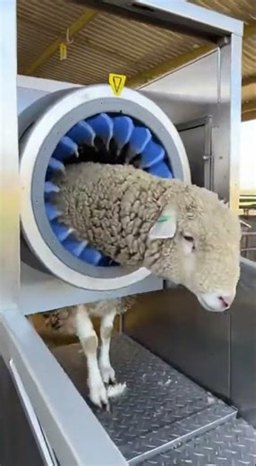 Amazing Agriculturale Technology Revolutionizes Crop Yields #farming #agriculture #tech