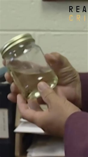 Black flies transform from larvae to pupae in rivers, using any available substrate to grow during winter. The presence of cocoons on a car revealed how long it had been submerged. What other secrets might rivers hold? #blackflies #MuskegonRiver #riverlife #nature #science | Real Crime