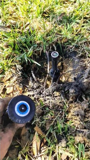 Isolation valve installation for the backflow preventer 💦🍀 Sprinkler system walk through #101 #howto