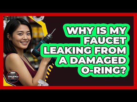 Why Is My Faucet Leaking from a Damaged O-Ring?