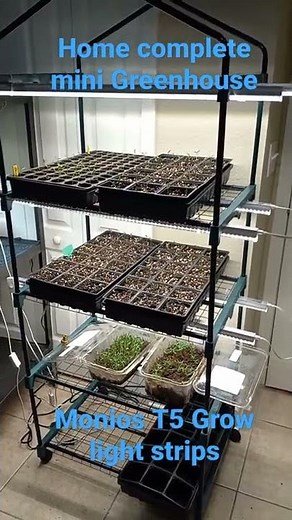 My view on Monios T5 Grow lights and Home Complete Mini Greenhouse