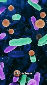 1K views | Long before humans had built their first wheel, bacteria...