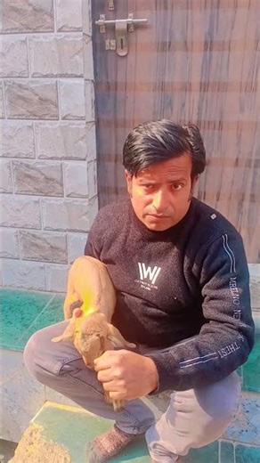 Amrish Puri loha movie dialogue #bollywood #amrishpuri #bollyboodstars #hindi #youtubeshorts