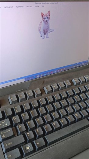 cat 😺 logo in Ms Word By shortcut key | In English | Digital shortcut Hub. #shortcutkeys #computer.