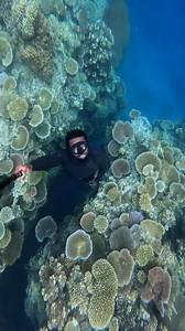 19K views · 295 reactions | Number 1 thought when entering a dark cave? #Freediving #Freediver #Fiji #UnderwaterPhotography | André Musgrove Underwater Photography | Facebook