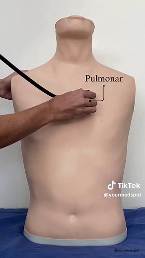 Focos de Auscultación Cardíaca: Guía Práctica para Estudiantes de Medicina