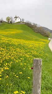 Springtime in Switzerland🇨🇭 | Patchara Photography