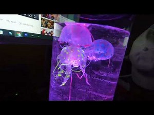 Jellyfish Lava Lamp Unboxing | Amazon |