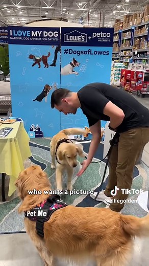Pet-Friendly Shopping at Lowe's with Petco Inside