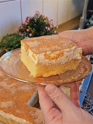 So saftig, weich und einfach UNGLAUBLICH lecker 😍👌 Dieser Fantakuchen mit Sahne-Schmand & Mandarinen ist ein absolutes Highlight – perfekt für jeden Anlass 🤩🍰 👉 Das komplette Rezept findest du in den Kommentaren – speicher es dir unbedingt ab & probier es aus! #kuchenliebe #backenmachtglücklich #rezeptideen #foodporn #einfachlecker