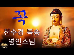 막혔던 운이 시원하게 풀리고, 대운이 끊임없이 들어오는 불경(대원사) 🙏 금강경, 천수경, 반야심경, 관세음보살 정근, 신묘장구대다라니 🏯 번뇌를 내려놓고 내면의 평화를 찾는 시간