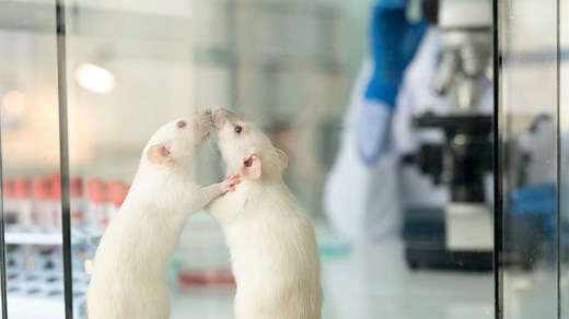Watson, Pavlov, Thorndike, Skinner, and the Development of Behaviorism