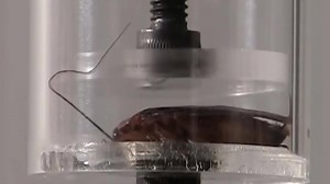 7.5K views · 125 reactions | Over the past three decades, Full and...