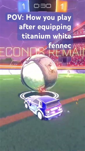 That fennec is class 😮‍💨