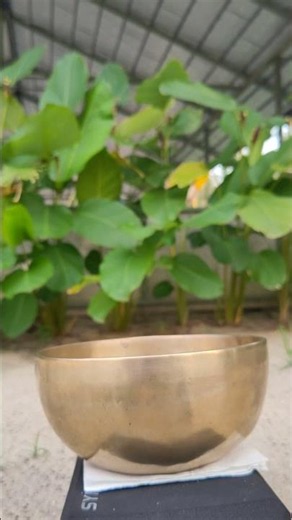Sound Healing for Pets: Calm Your Furry Friends