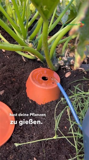 DIY Olla Bewässerungshilfe selber bauen