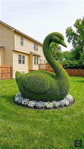 Amazing Garden makeover ✨ #shorts