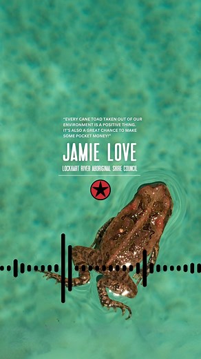 Tackling Toads last school holidays  MJ chats with Jamie Love from...