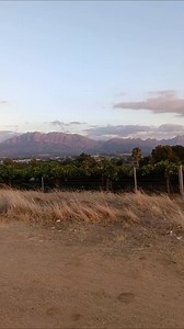 2.3K views · 21 reactions | From its sleek ‘80s roots to its legendary VTEC era, the #HondaBallade is more than just a car—it is a piece of Honda history. An “oldie but a goldie” as @that_honda_girl_ puts it this #FanFriday 朗 | Honda SA | Facebook