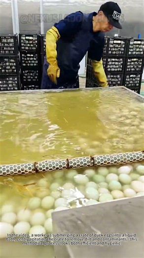 Efficient Duck Egg Cleaning! Safe Food Processing Hack #FoodSafety #FarmHacks