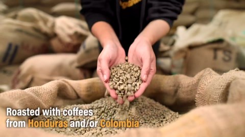 Mayorga Organic Coffee 2lb Buenos Dias - Light Roast Whole Bean Coffee Specialty Grade, 100% Arabica, Slow Roasted, Citrusy and Sweet Flavor with Low Acidity - USDA Organic, Non-GMO, Kosher