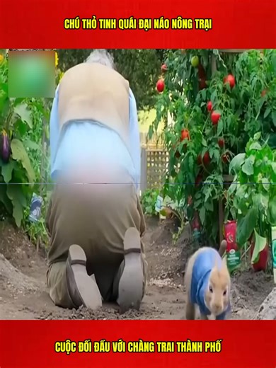 Review phim ngôn tình Trung Quốc hot nhất