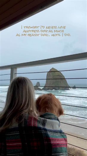 3K reactions · 93 comments | When I lost Scout, I couldn’t imagine...