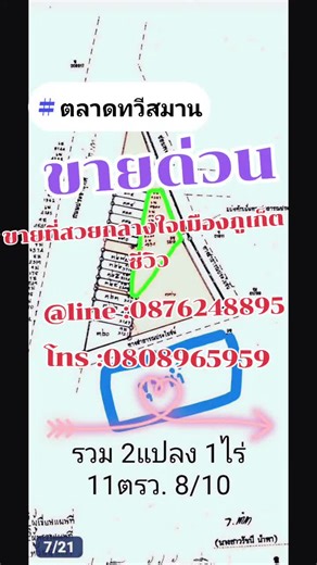 p.Bird บน TikTok