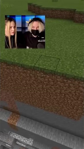 trolling villager in minecraft...