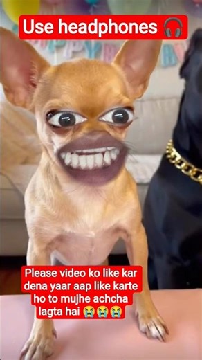 dogesh Bhai ne sab cake kha Gaya 🤣🤣🤣#funny #comedyfilms #comedy #shortsfeed #shortvideo #dogeshbhai